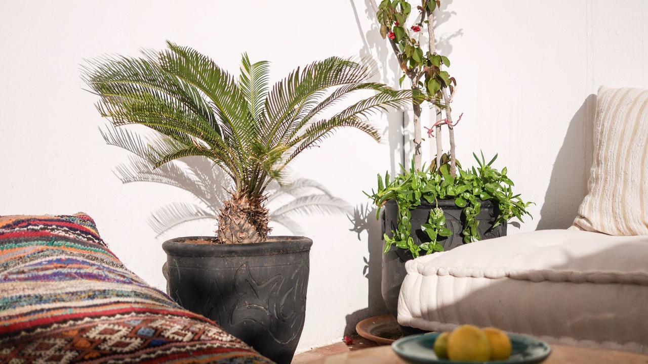 Boho 27 Hostel Marrakech مراكش المظهر الخارجي الصورة